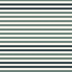 Striped Horizon in Evergreen