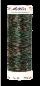 Forest Woods (4820-9982) - Poly Sheen Multi - 220 Yards