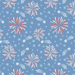 Fireworks in Celebration