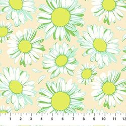 Sunshine Daisies in Ivory