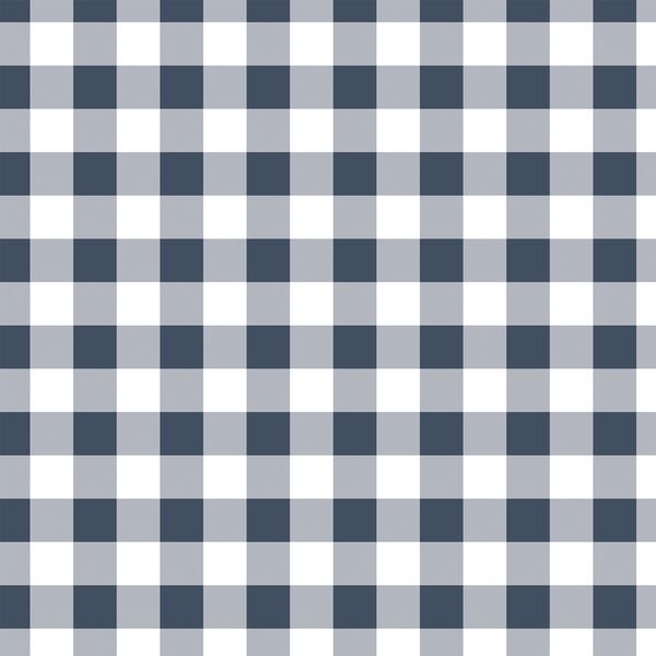Gingham in Navy
