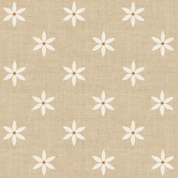 Star Flowers in Tan