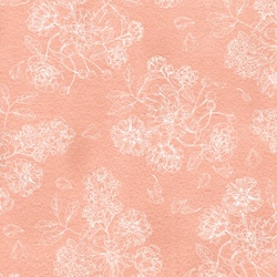 Floral Toile in Coral