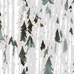 Birch and Pine in Gray