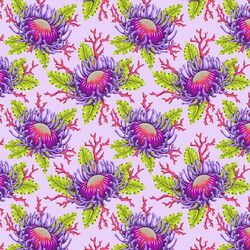 Friends and Anemones in Ultraviolet