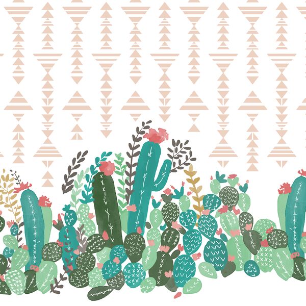 Succulent Double Border in Coachella