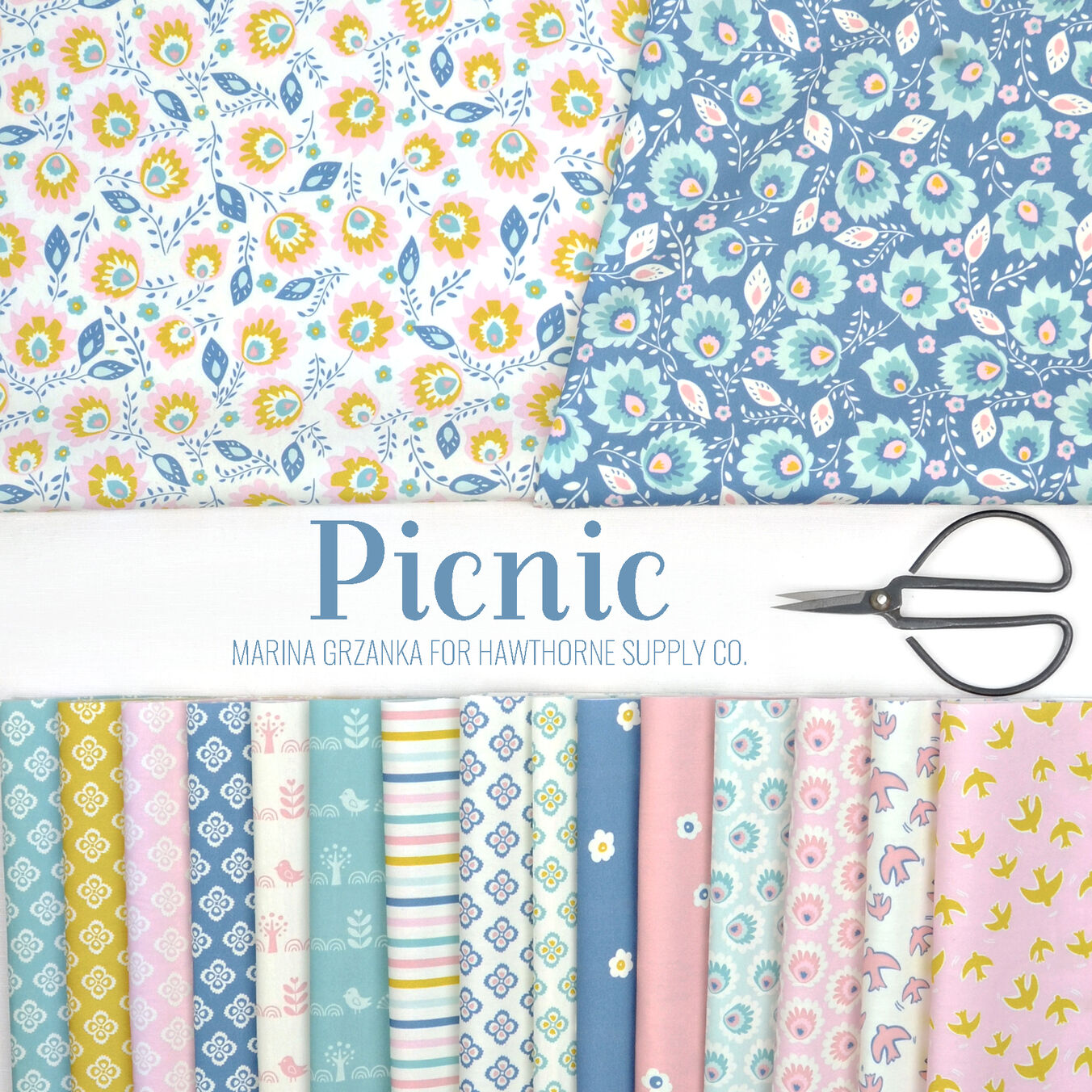 Picnic Poster Image