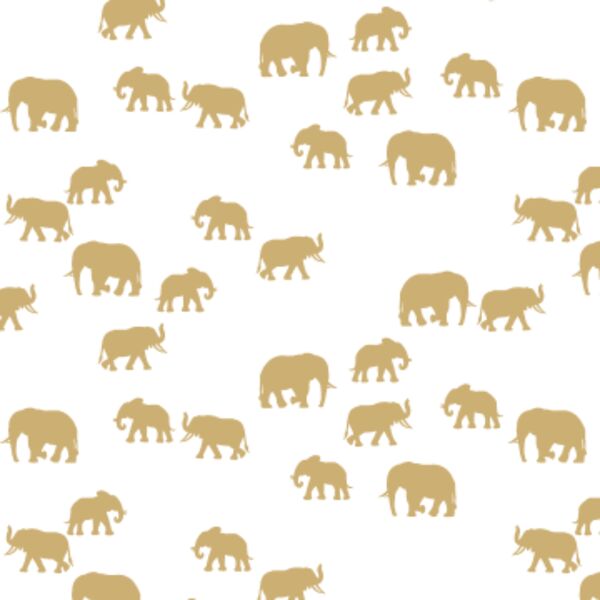 Elephant Silhouette in Golden Canyon on White