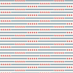 Star Spangled Stripes in Liberty
