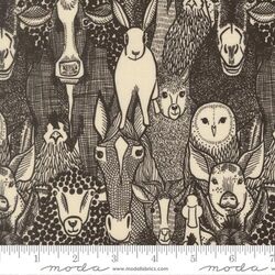 Barnyard Faces in Iron