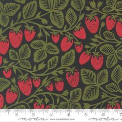 Strawberry in Black