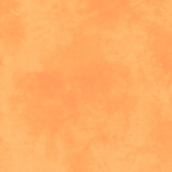 Palette in Orange Cream