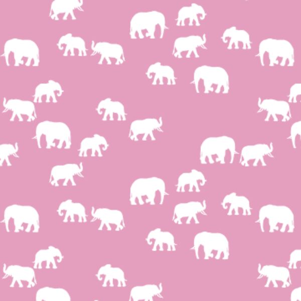 Elephant Silhouette in Begonia