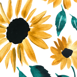 Large Blooming Sunflowers in Sunset Garden