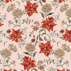 Poinsettia Dreams in Rose