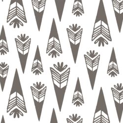 Arrowheads in Stone