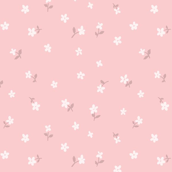 Daisy in Rosy