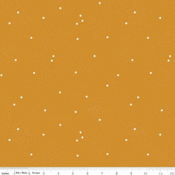 Dainty Daisy in Butterscotch