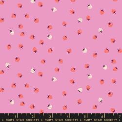 Mini Berry in Daisy