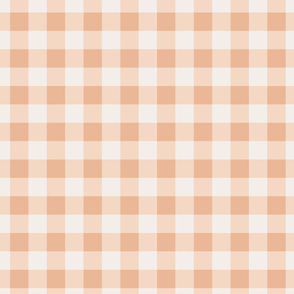 Gingham in Boho Pink