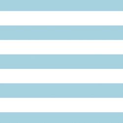 Horizontal Play Stripe in Robins Egg
