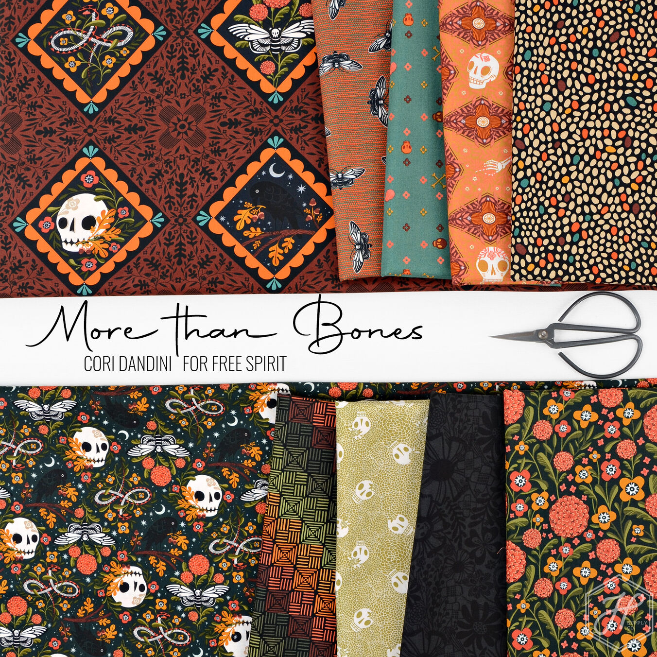 More Than Bones Poster Image