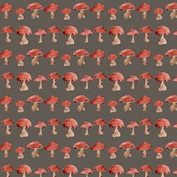 Toadstool Collection in Timberwood