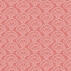Shells in Coral