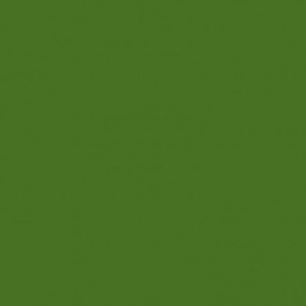 Solid in Olive
