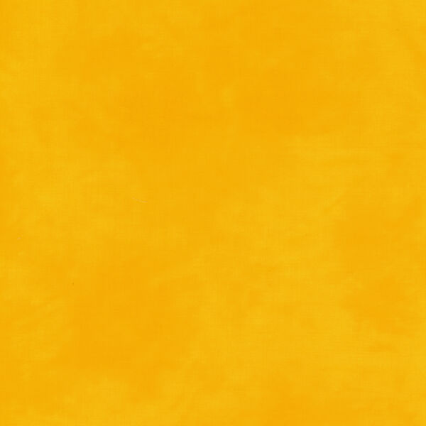 Palette in Daffodil