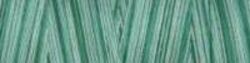 Creme de Menthe - Variegated