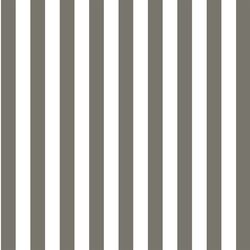 Candy Stripe in Greige