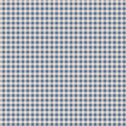 Gingham in Blue