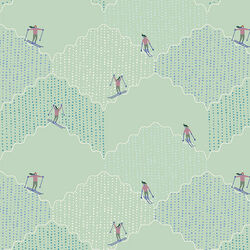 Ski Run in Ice