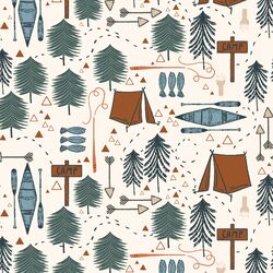 Camp in Lake Life