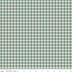 Plaid in Aqua