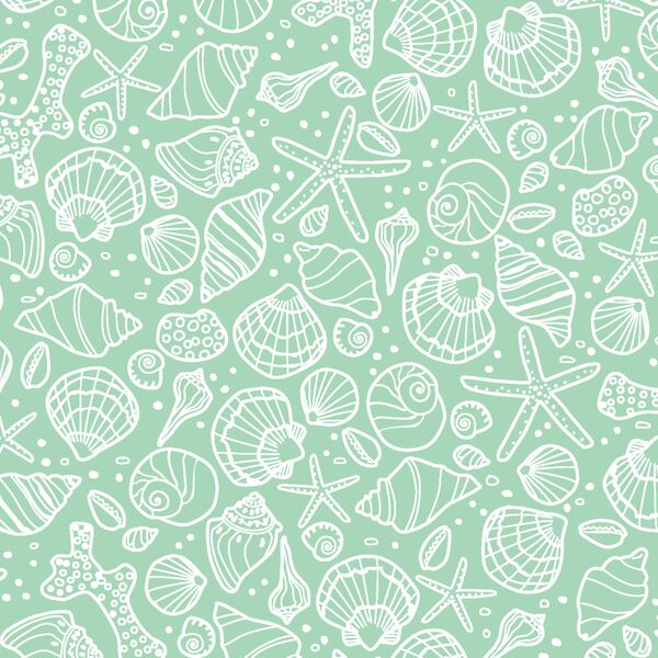 Seashells in Seaglass