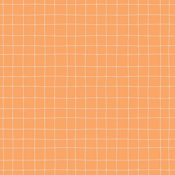 Painted Check in Apricot