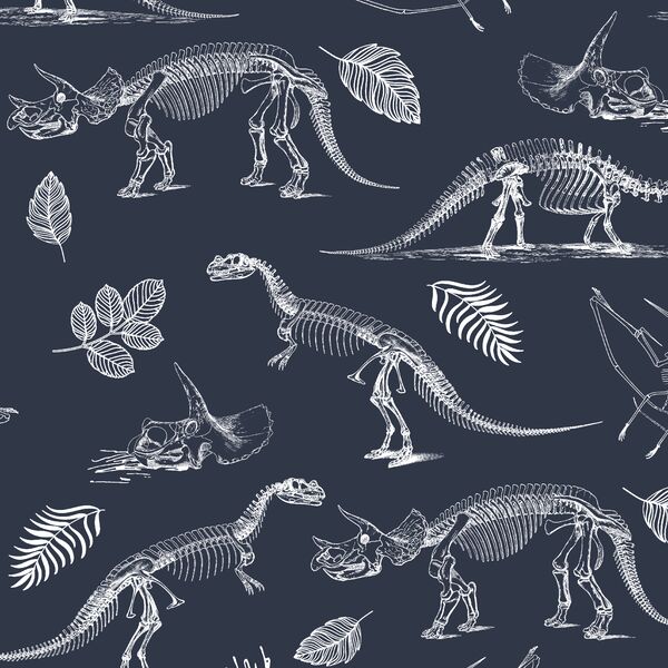 Fossils in Eclipse