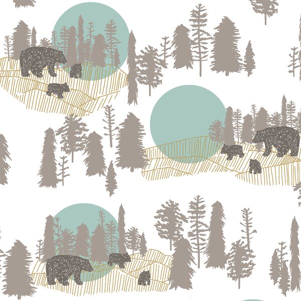 A Walk in the Woods in Aspen and White