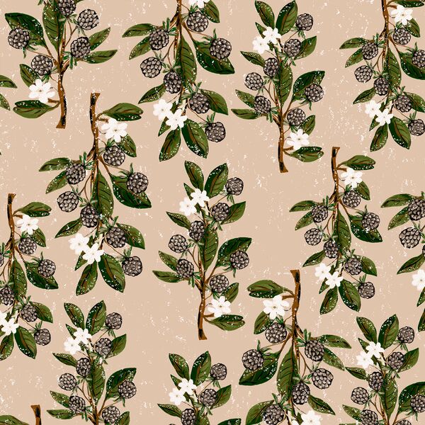Large Blackberry Branches in Dusty Pink