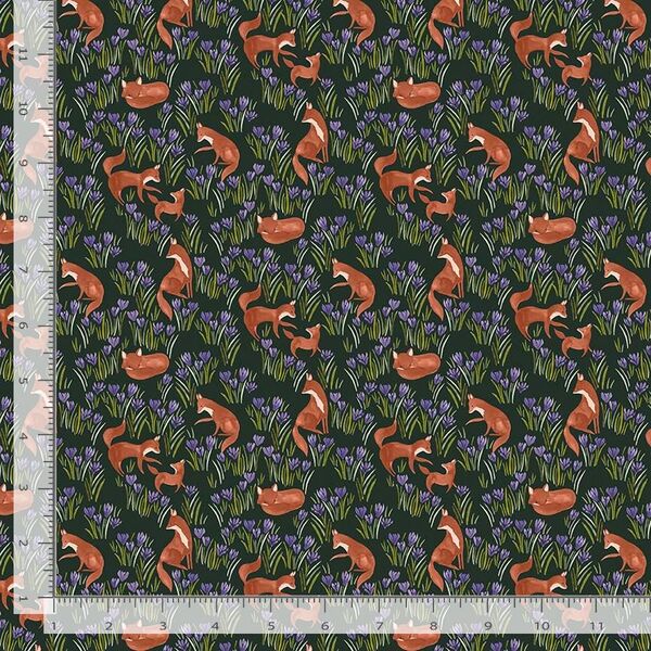Crocus Field in Midnight