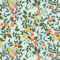 Citrus Grove in Mint