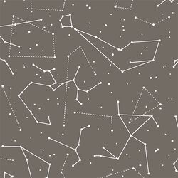 Star Charts in Stone