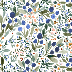 Blueberries in White