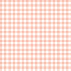 Little Spring Gingham in Pink