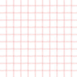 Plaid in Red