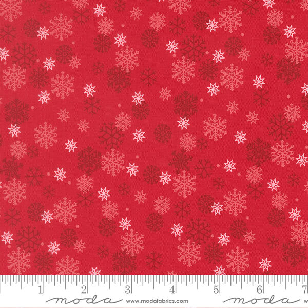 Snow Flurry in Poinsettia