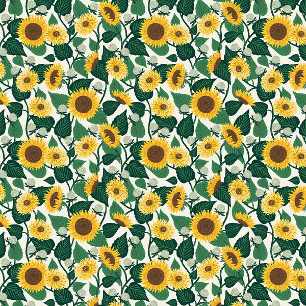 Sunflower Fields in Cream