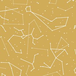 Star Charts in Straw